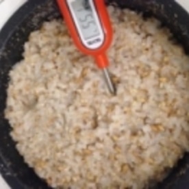 まぜて一晩放置 麦芽でつくるカラダにやさしい米飴 レシピ 作り方 By Topicos 楽天レシピ まぜて一晩放置 麦芽でつくるカラダにやさしい米飴 レシピ 作り方 By Topicos 楽天レシピ